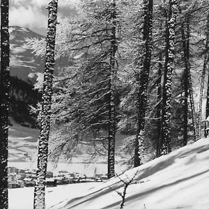 Hotel Livigno *** Livigno