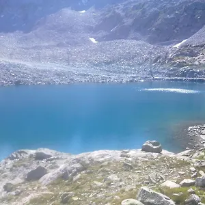 Negritella *** Passo del Tonale